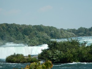 DSCN5002