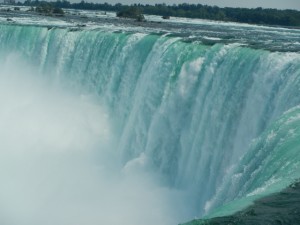 DSCN5019