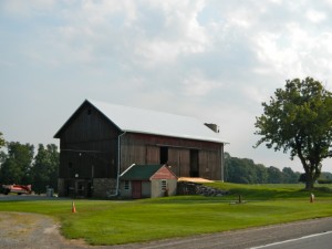 DSCN5061