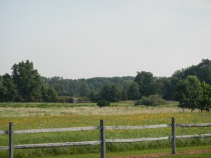 DSCN5062