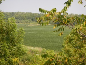 DSCN5083