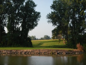 DSCN5129