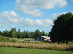 DSCN5227