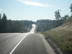 DSCN5295