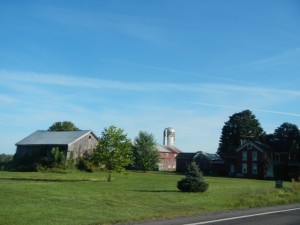 DSCN5305