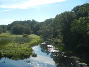 DSCN5312