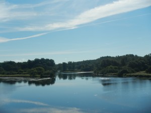 DSCN5315