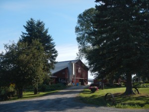 DSCN5322