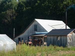 DSCN5339