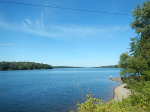 DSCN5352