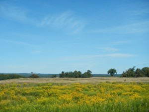 DSCN5361
