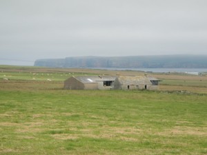 DSCN0047