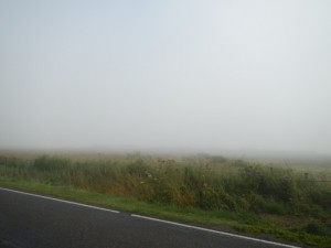 DSCN0079