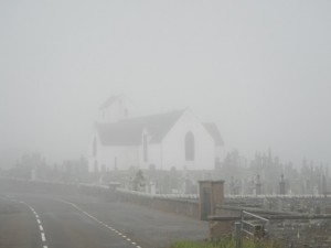 DSCN0083