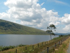 DSCN0228