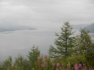 DSCN0414