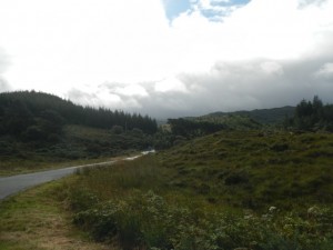 DSCN0455
