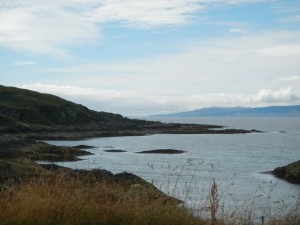 DSCN0550