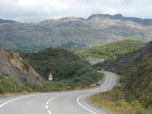 DSCN0567