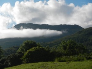 DSCN0606