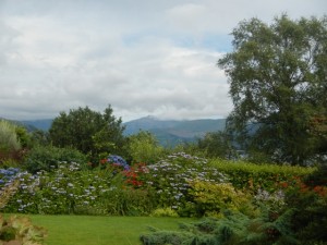 DSCN0703