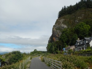 DSCN0788