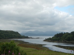 DSCN0827