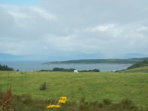 DSCN0963