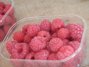 DSCN7657