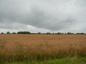 DSCN7896