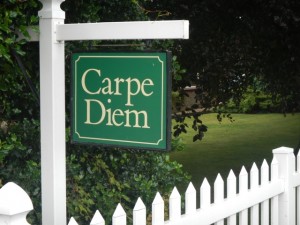 DSCN7900