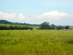 DSCN8482