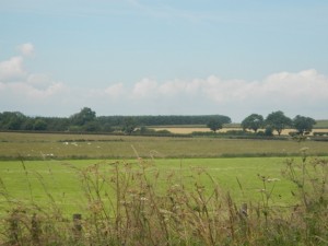 DSCN8487
