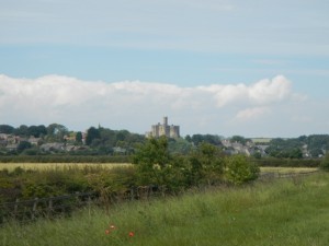 DSCN8497