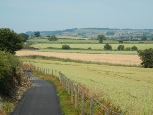 DSCN8513
