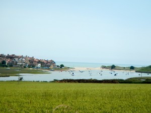 DSCN8522