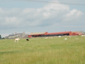 DSCN8576