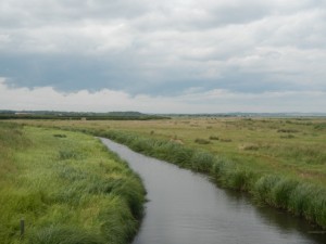 DSCN8670