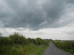 DSCN8688