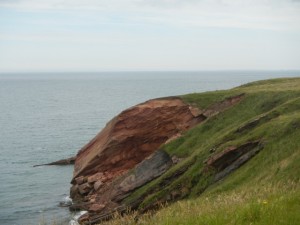 DSCN8704