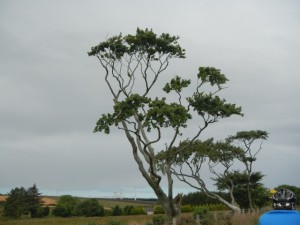 DSCN8772