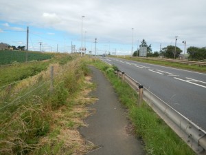 DSCN8804