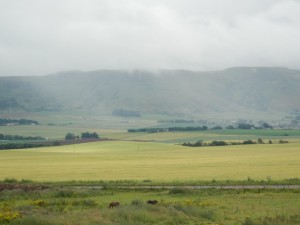 DSCN9144