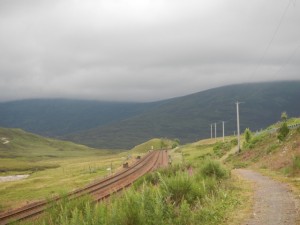 DSCN9364
