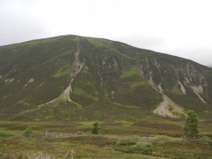 DSCN9379