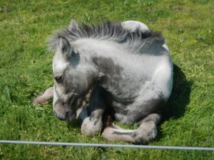 DSCN9434