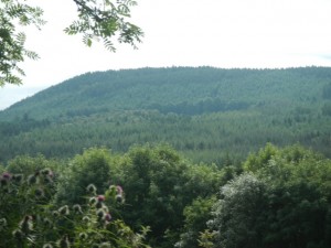 DSCN9564