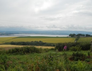DSCN9620