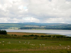 DSCN9717
