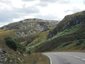 DSCN9967